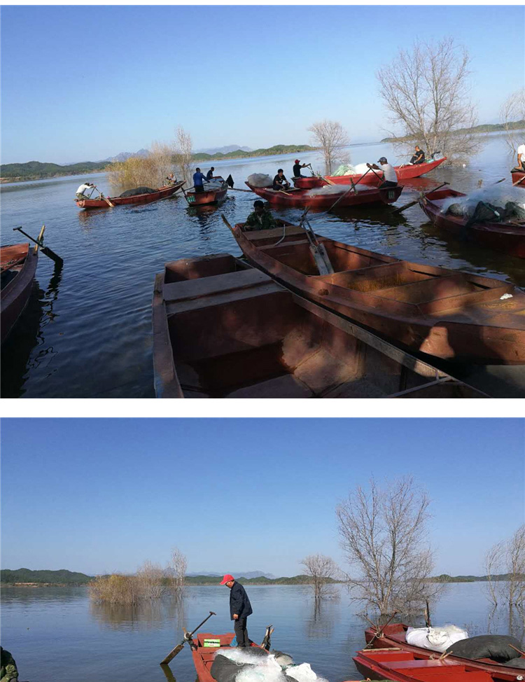 密云水库鱼哪里最好 d0859064ab9548ddb9717fe2de18a109.jpg