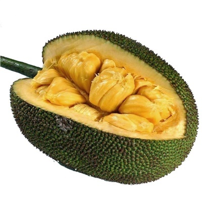 resize,m_fixed,h_400,w_400